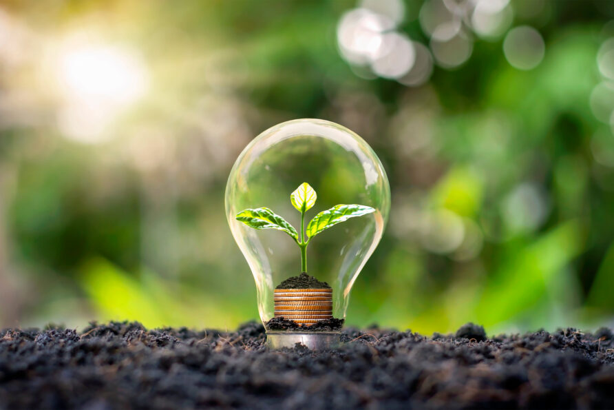 plant growing in lightbulb to represent climate change and renewable energy