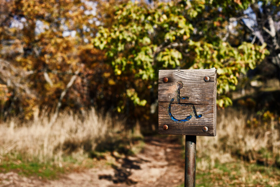 Wheelchair accessible walk